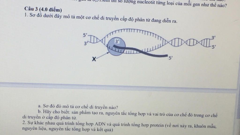 Công nghệ mới cho phép tổng hợp protein nhanh Thuocbietduoc