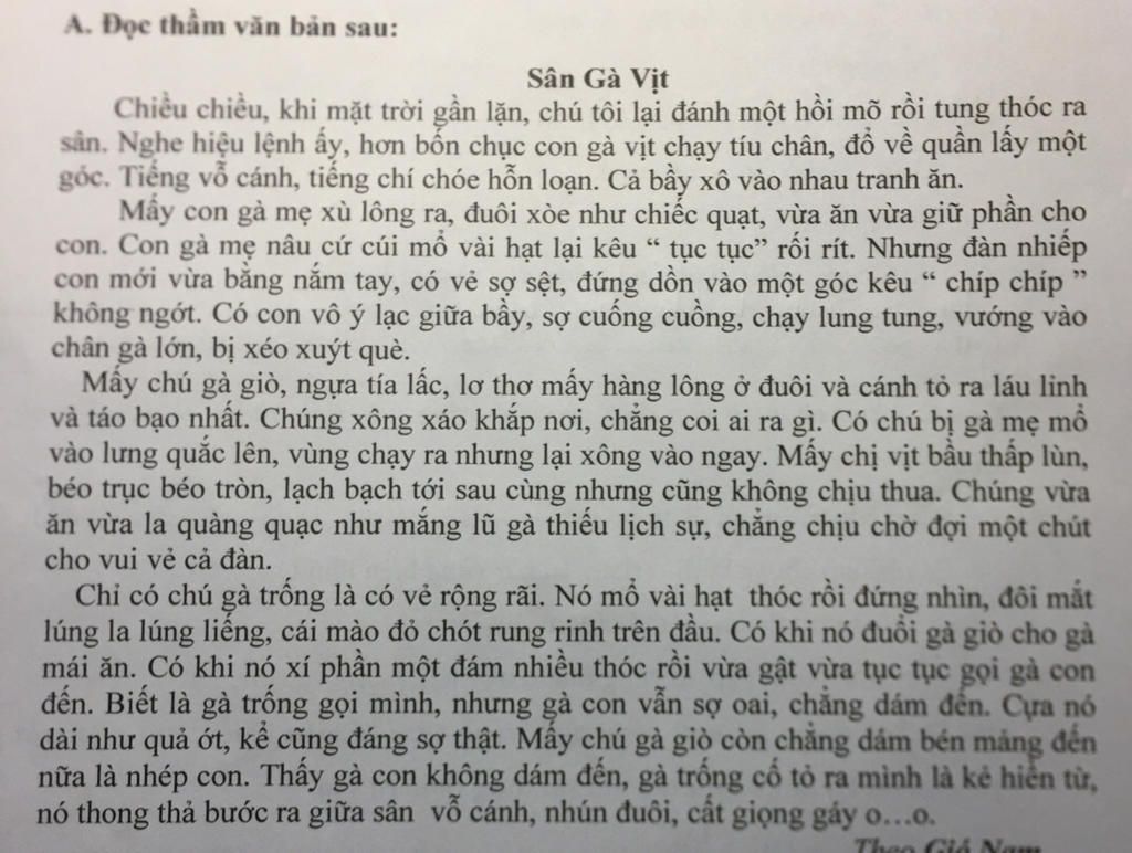 Câu hỏi : Tìm và ghi lại câu văn có hình ảnh nhân hóa trong bài A ...