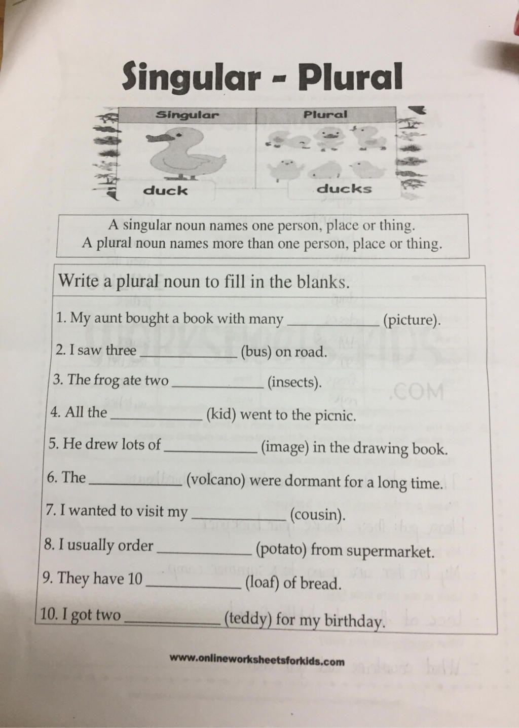 Singular Plural Singular 3 duck Plural A singular noun names one person, place or thing. A