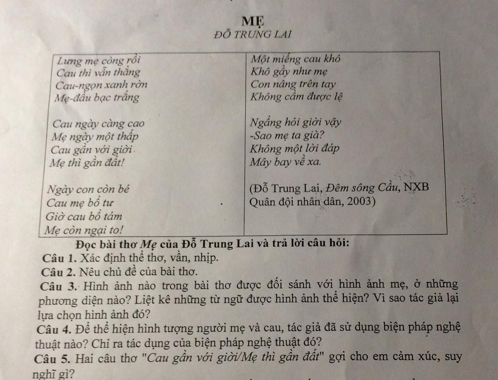 Lưng mẹ còng rồi Cau thì vẫn thẳng Cau-ngọn xanh rờn Mẹ-đầu bạc trắng ...