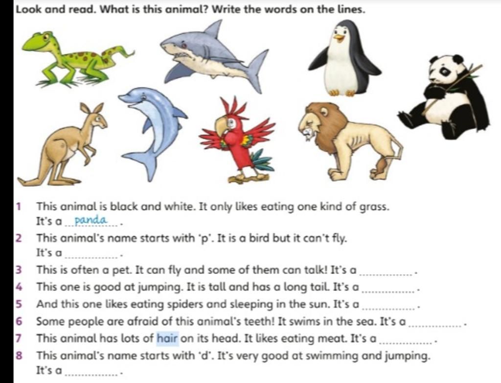Look and read. What is this animal? Write the words on the lines. 1 2 This  animal is black and white. It only likes eating one kind of grass. It's a  panda.
