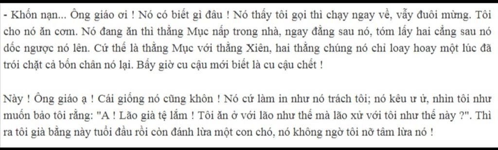 Cách viết đoạn văn bằng hình thức diễn dịch  Ngữ văn 9  Cô Vũ Thị Hà   HOCMAI  YouTube