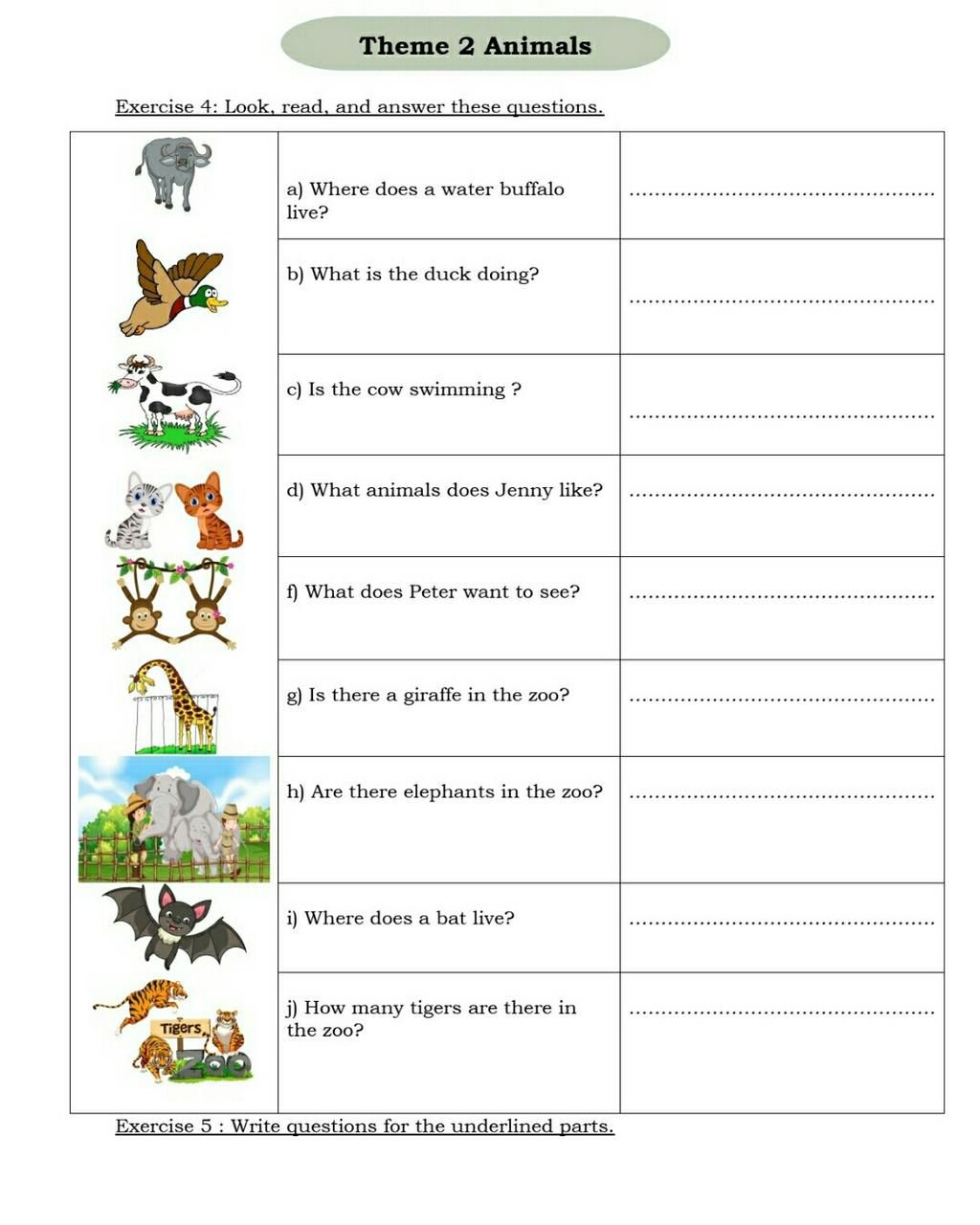 Theme 2 Animals Exercise 4: Look, read, and answer these questions. Tigers  a) Where does a water buffalo live? b) What is the duck doing? c) Is the  cow swi