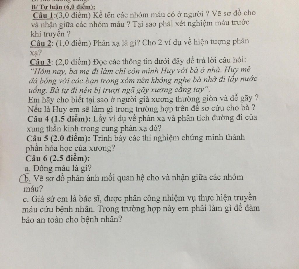 B/ Tư luận (6,0 điểm): Câu 1:(3,0 điểm) Kể tên các nhóm máu có ở ...