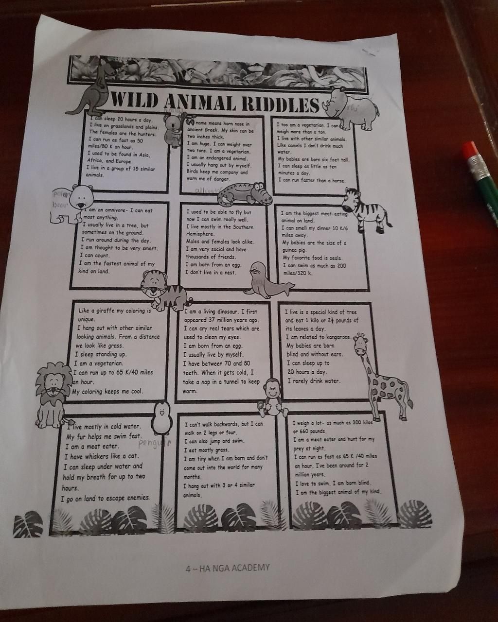 * WILD ANIMAL RIDDLES I can sleep 20 hours a day. I live on grasslands ...