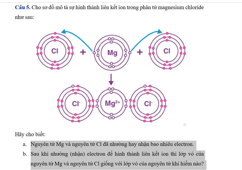 Câu 5. Cho sơ đồ mô tả sự hình thành liên kết ion trong phân tử ...