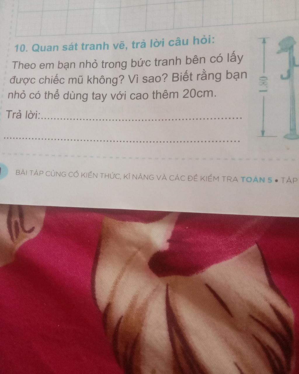 Giải Hộ Em .................................Với 10. Quan Sát Tranh Vẽ, Trả  Lời Câu Hỏi: Theo Em Bạn Nhỏ Trong Bức Tranh Bên Có Lấy Được Chiếc Mũ K