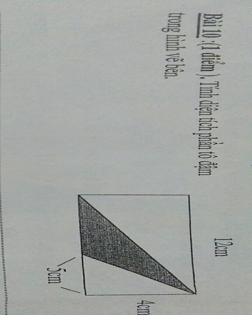 B i 10 T nh Di n T ch Ph n T m Trong H nh V B n B i 10 1 i m b-i-10-t-nh-di-n-t-ch-ph-n-t-m-trong-h-nh-v-b-n-b-i-10-1-i-m