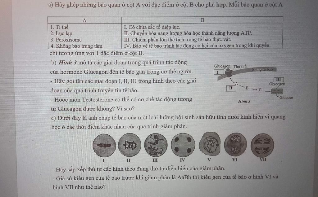 Chia sẻ hơn 77 về mô hình không bào hay nhất  Tin học Đông Hòa