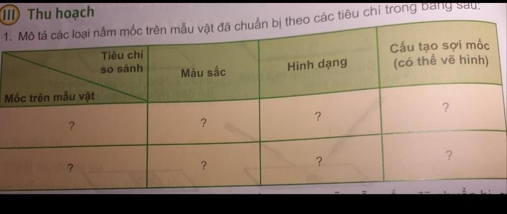 Nấm Mốc Và Vi Sinh Trên Nông Sản  Tin Cậy 2023