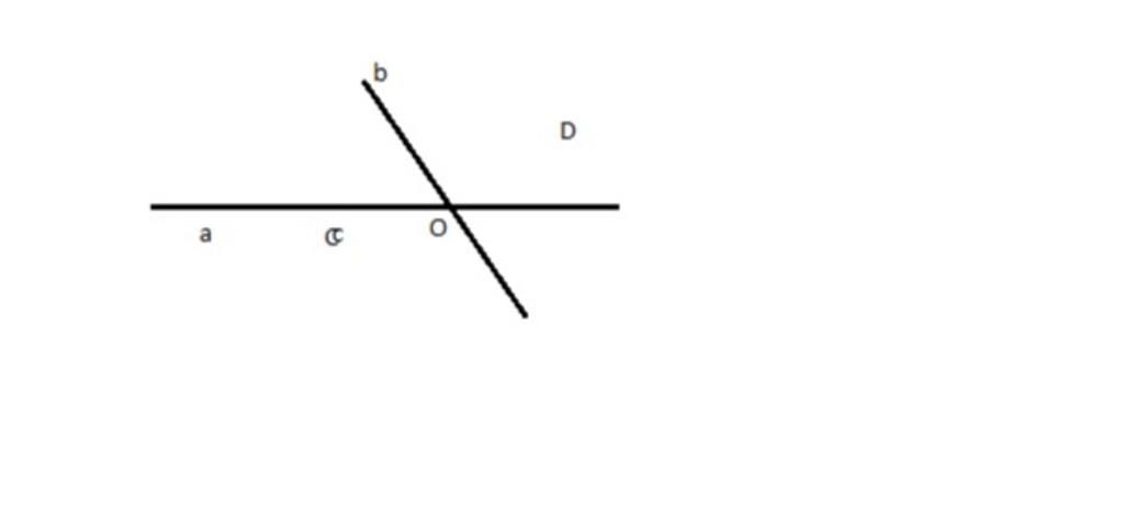 Quan sát hình vẽ hình nào có hai đường thẳng  với nhau Vì sao Giải  giúp mk bài 4 vs ạ câu hỏi 1162989  hoidap247com