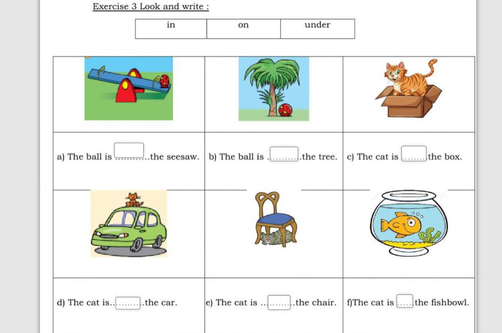 Exercise 3 Look And Write In D The Cat Is A The Ball Is the exercise-3-look-and-write-in-d-the-cat-is-a-the-ball-is-the