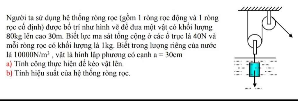 Người ta sử dụng hệ thống ròng rọc (gồm 1 ròng rọc động và 1 ròng rọc ...