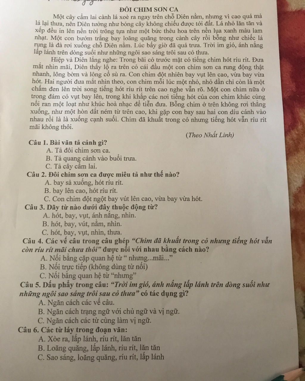 ĐÔI CHIM SƠN CA Một cây cẩm lai cành lá xoè ra ngay trên chỗ Diên nằm ...