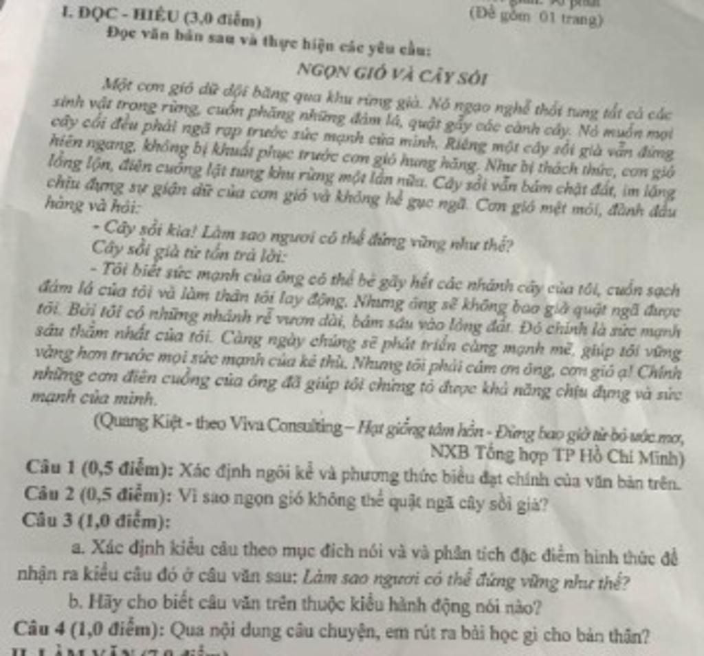 L. Đọc - Hiểu 6,0 Điểm) Đọc Văn Bản Sau Và Thực Hiện Các Yêu Cầu: (Đề Năm  01 Trang) Ngọn Gió Và Cây Sói Một Cơn Gió Dữ Dội Băng Qua