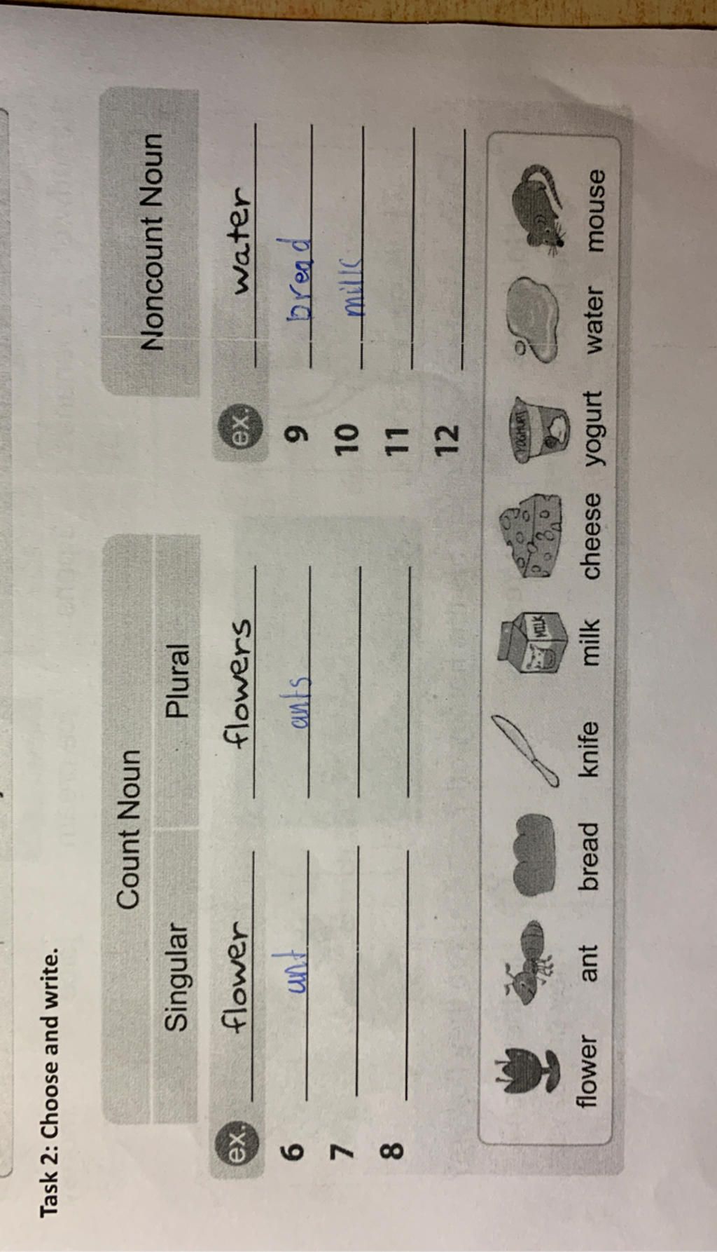 Task 2 Choose and write. ex. 879 6 Singular flower unt flower ant