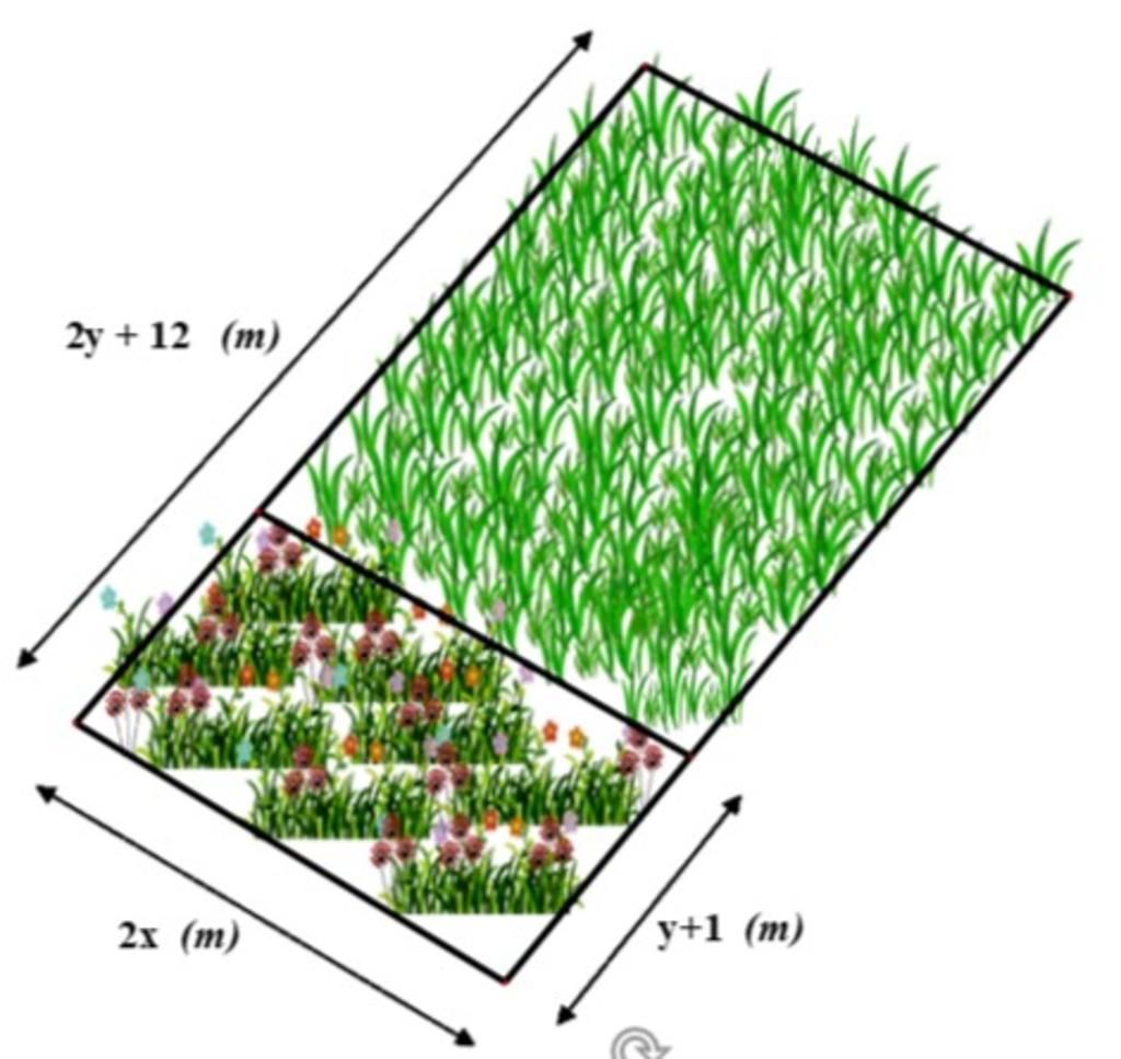 Bác Nam có một mảnh vườn hình chữ nhật. Bác chia mảnh vườn này ra làm ...