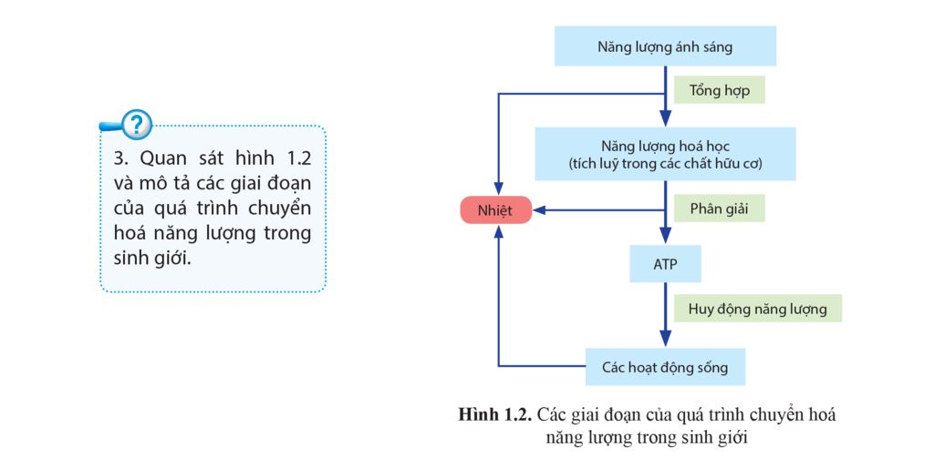 Chia sẻ hơn 63 về mô hình chuyển hoá năng lượng mới nhất  Tin học Đông Hòa