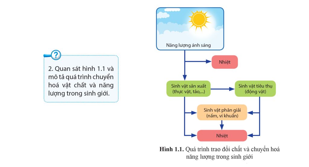 Chuyển hóa năng lượng mặt trời thành năng lượng điện