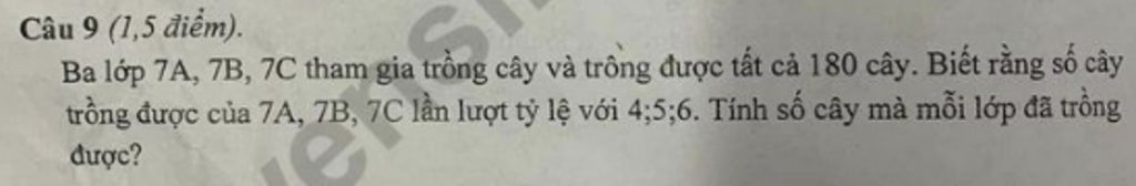 Câu 9 (1,5 điểm). Ba lớp 7A, 7B, 7C tham gia trồng cây và trồng được ...
