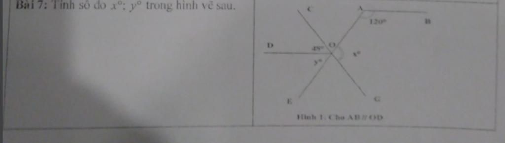 large_1697980883035.jpg (1024×291)