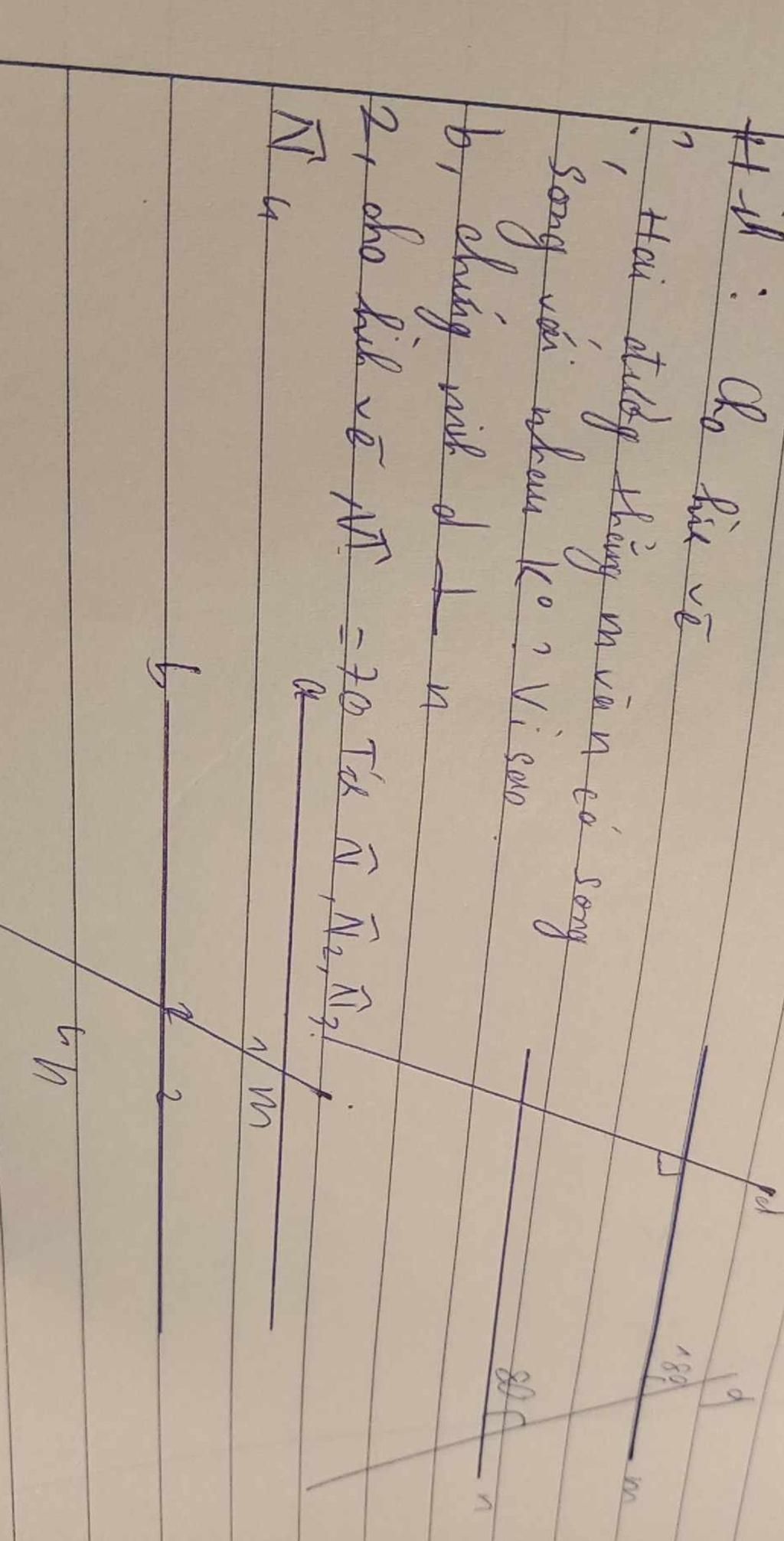 large_1698071938494.jpg (1024×2013)