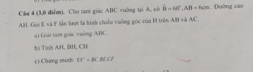 large_1698074011860.jpg (1024×292)