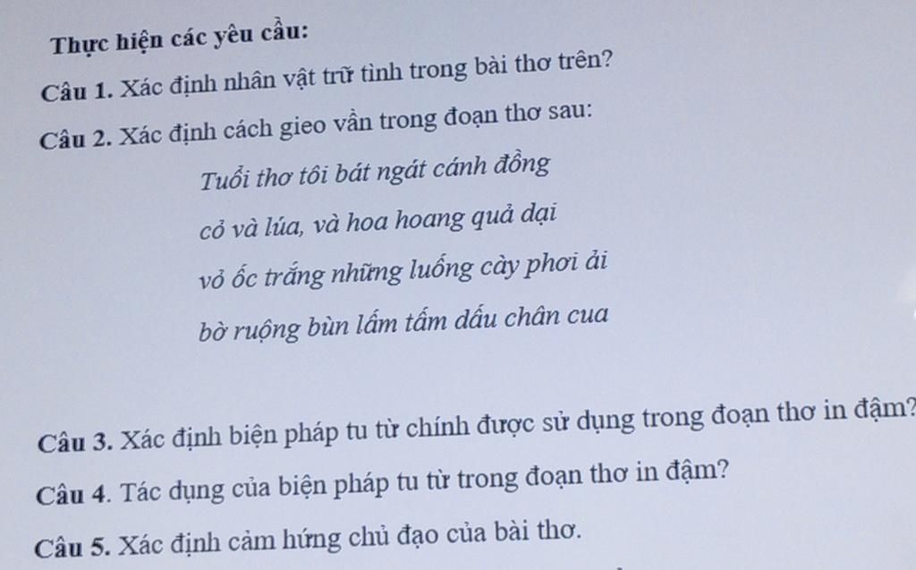 Thực Hiện Các Yêu Cầu Câu 1 Xác định Nhân Vật Trữ Tình Trong Bài Thơ