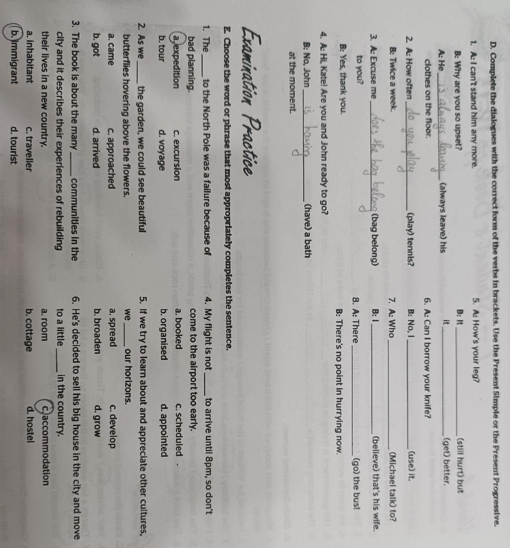 D. Complete the dialogues with the correct form of the verbs in ...