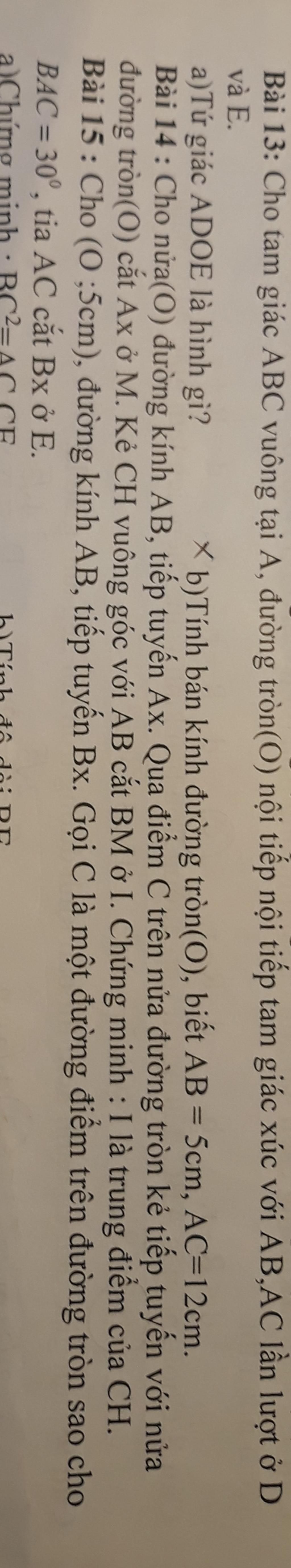 large_1700314413942.jpg (1024×5505)