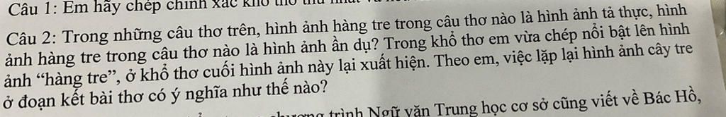 Câu 1 Em Hãy Chép Chính Xác Khi Câu 2 Trong Những Câu Thơ Trên Hình