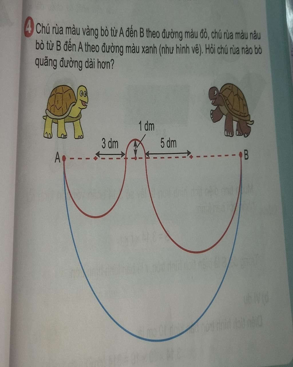 4 Chú rùa màu vàng bò từ A đến B theo đường màu đỏ, chú rùa màu nâu bò ...