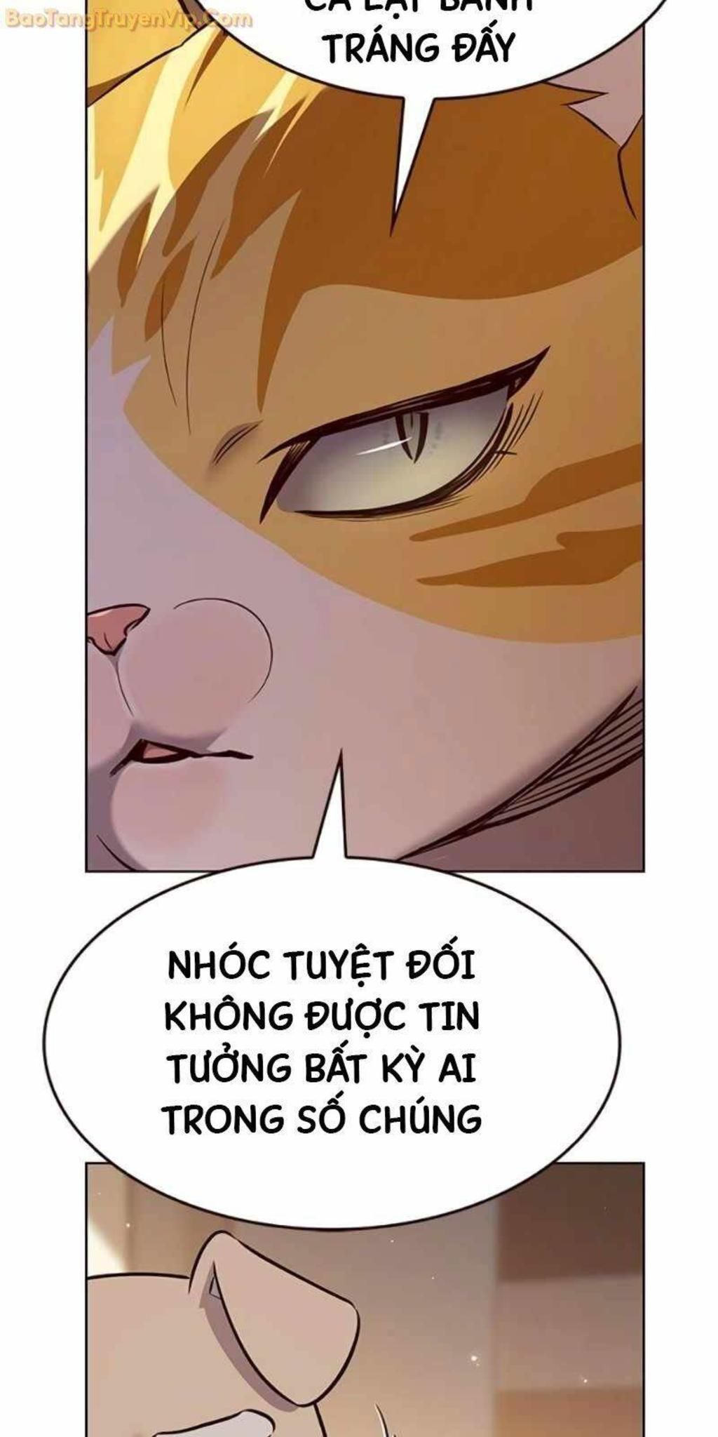 hoá thân thành mèo Chapter 329 - Trang 2