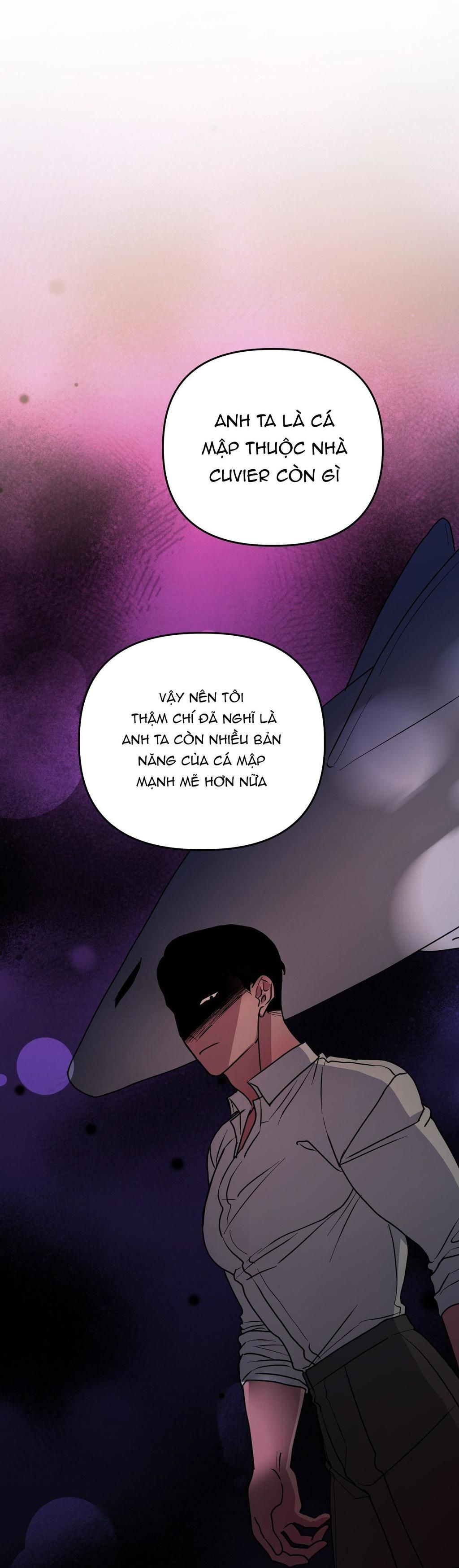 cá mập và cô dâu thỏ Chapter 47 - Trang 2