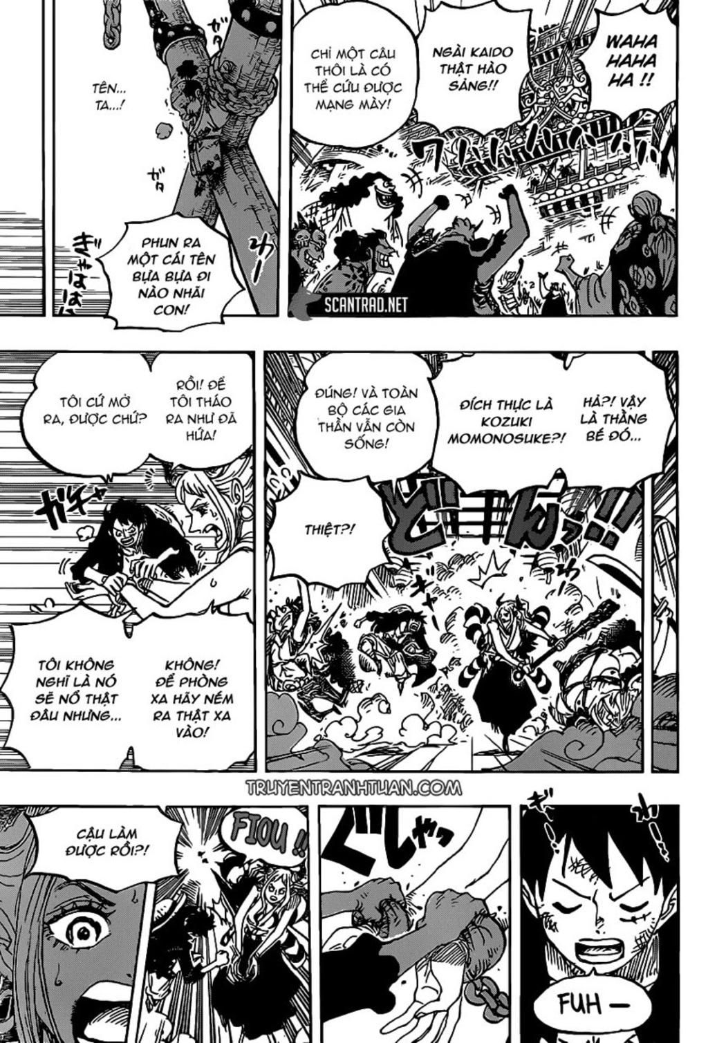 đảo hải tặc Chapter 986 - Next Chapter 987