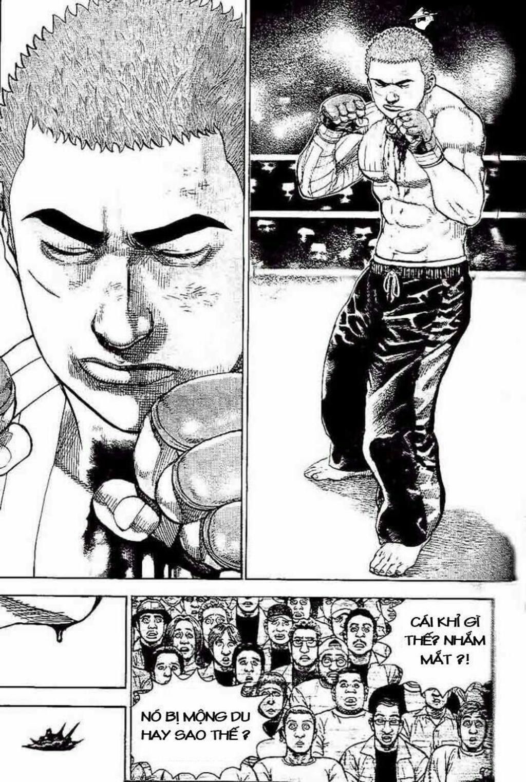 tough - miyazawa kiichi chapter 227 - Trang 2