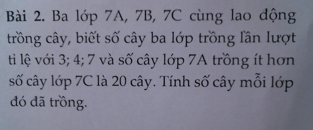 Bài 2. Ba lớp 7A, 7B, 7C cùng lao động trồng cây, biết số cây ba lớp ...