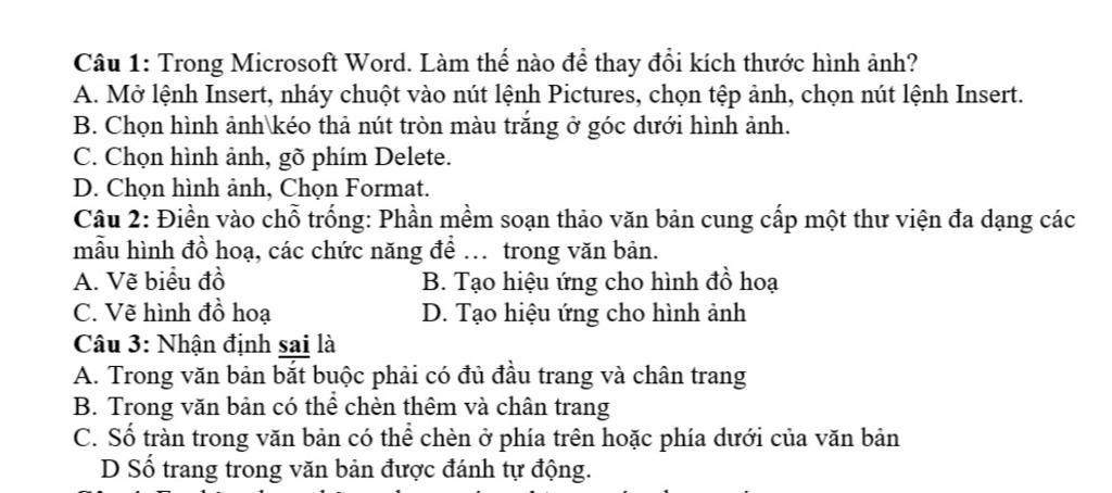 Câu 1: Trong Microsoft Word. Làm thế nào để thay đổi kích thước hình ...